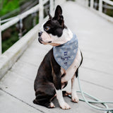 Am Israel Chai Magen David Pet Bandana