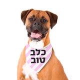 Pet Bandana - Good Dog - Hebrew