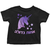 Big Sister Hebrew T-Shirt with Unicorn