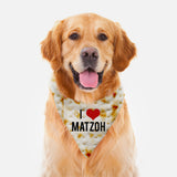 PASSOVER PET BANDANA