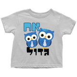 BIG BROTHER - Gift T-Shirt - Hebrew
