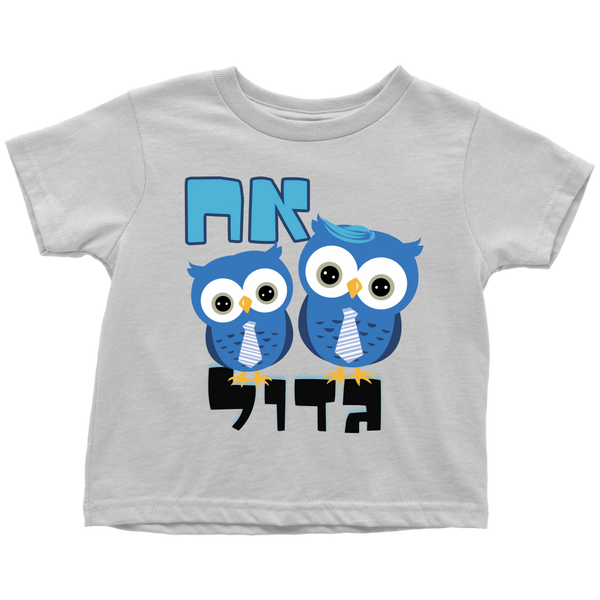 BIG BROTHER - Gift T-Shirt - Hebrew