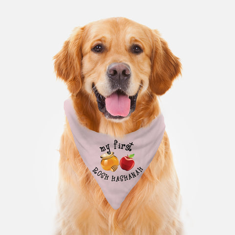 first rosh hashana pet gift