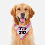 dog gift hebrew