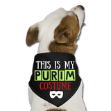 Purim Costume Dog Bandana - black